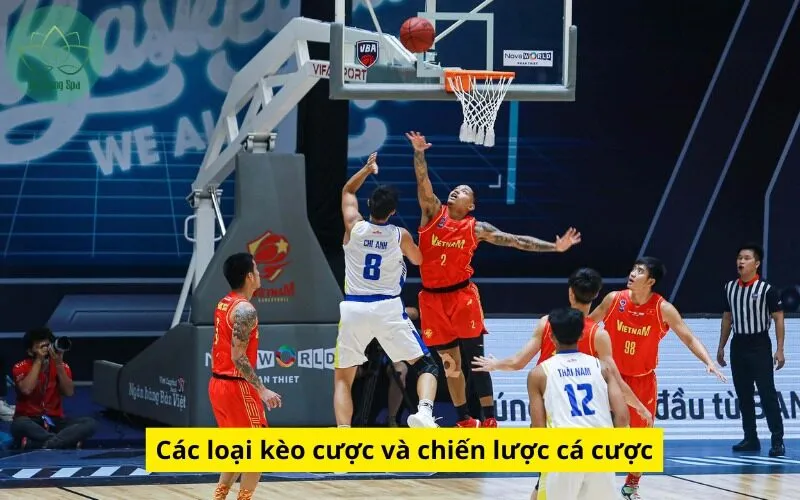 Các loại kèo cược và chiến lược cá cược