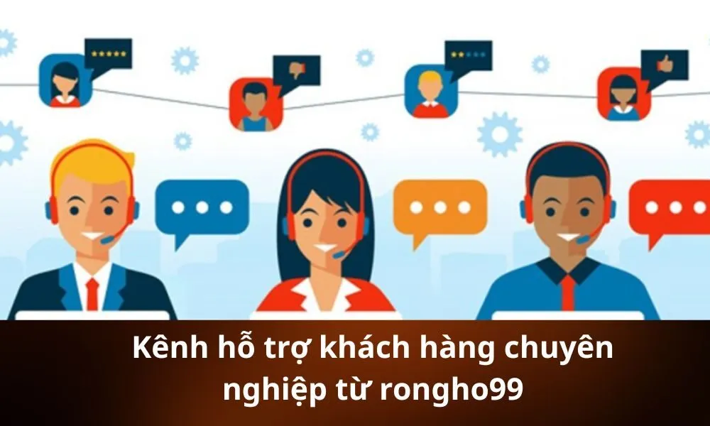 Kênh hỗ trợ khách hàng chuyên nghiệp từ rongho99