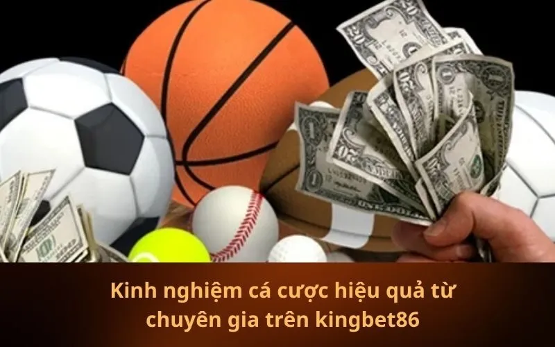 Kinh nghiệm cá cược hiệu quả từ chuyên gia trên kingbet86