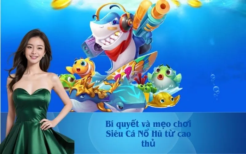 Bí quyết và mẹo chơi Siêu Cá Nổ Hũ từ cao thủ