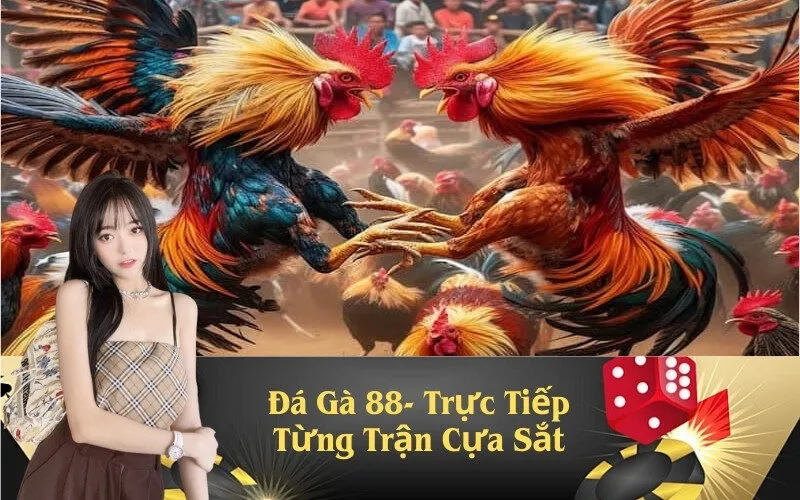 Đá Gà 88