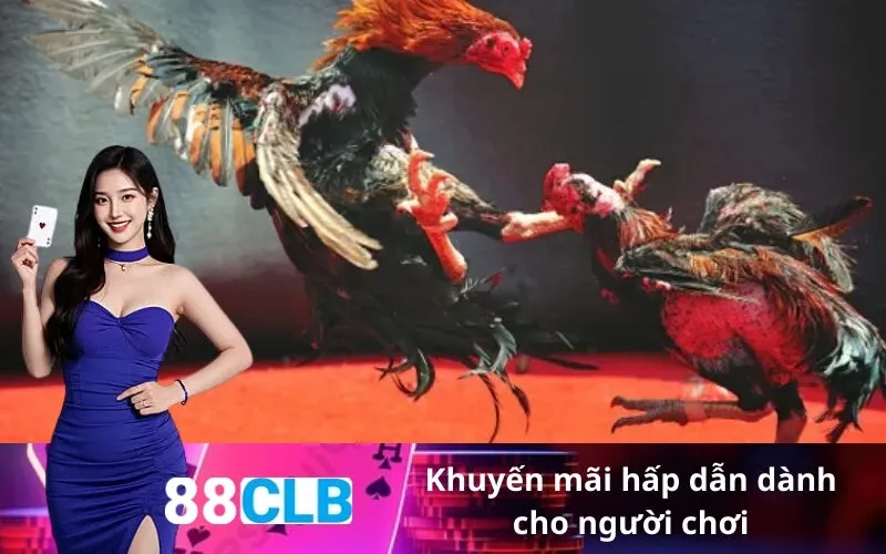 Khuyến mãi hấp dẫn dành cho người chơi