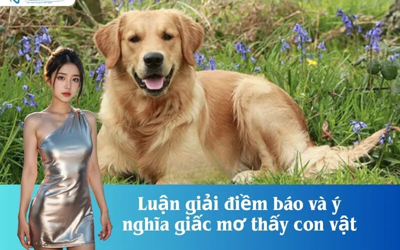 Luận giải điềm báo và ý nghĩa giấc mơ thấy con vật