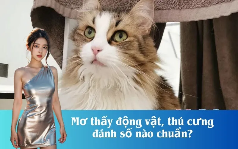 Mơ thấy động vật, thú cưng đánh số nào chuẩn